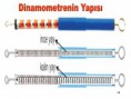 /album/resim-galerisi/www-erguven-net-kuvvet-dinamometre-19-jpg/